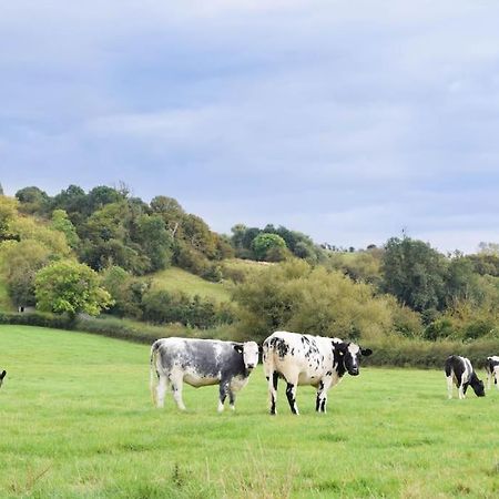 Piddington Nr Bicester Village 5 Star Luxury On Farm מראה חיצוני תמונה