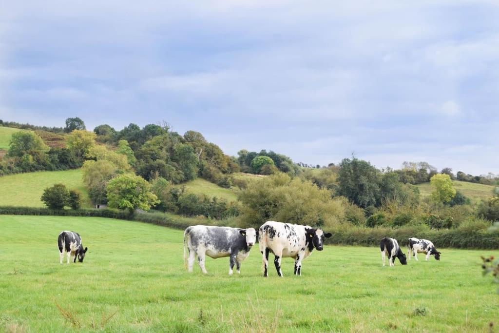 Piddington Nr Bicester Village 5 Star Luxury On Farm מראה חיצוני תמונה